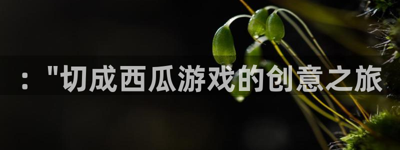 沐鸣2社区公益活动