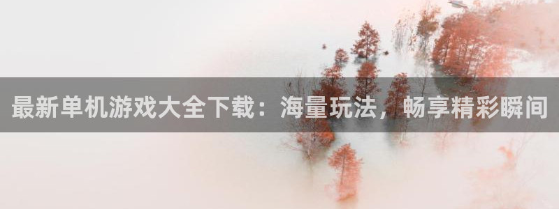沐鸣2集团：最新单机游戏大全下载：海量玩法，畅享精彩瞬间