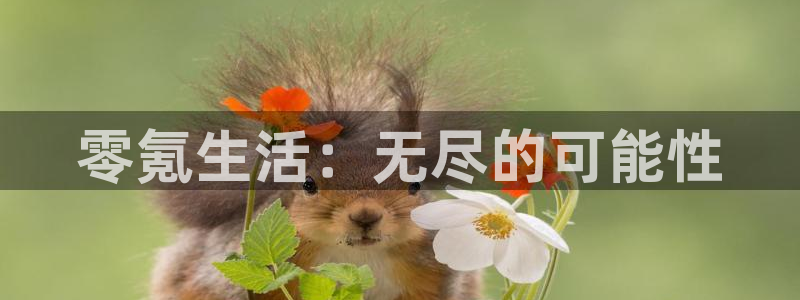 沐鸣2是什么类型的游戏：零氪生活：无尽的可能性