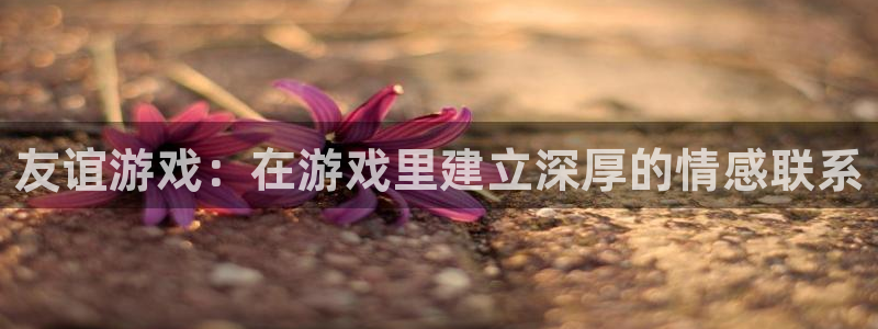 沐鸣2注册连接：友谊游戏：在游戏里建立深厚的情感联系