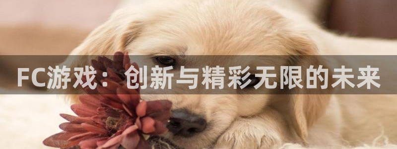 沐鸣2注册登录服务中心